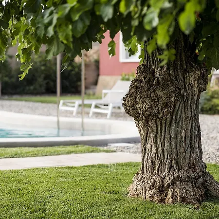 Boutique Ca L'agustina Hotel 4*